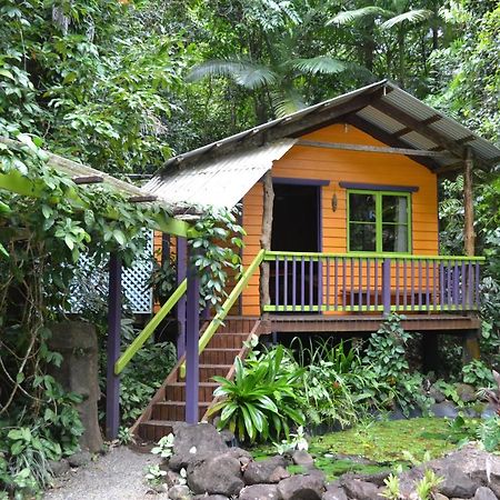 Rainforest Hideaway Cape Tribulation Eksteriør billede