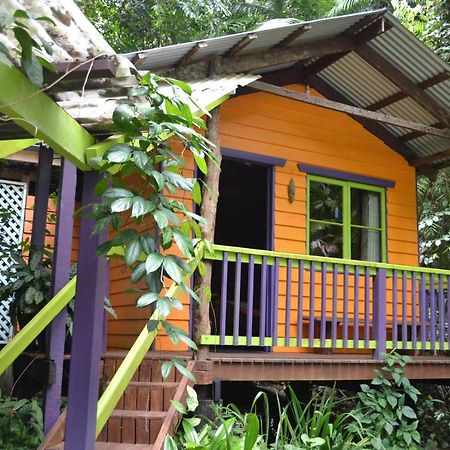 Rainforest Hideaway Cape Tribulation Eksteriør billede