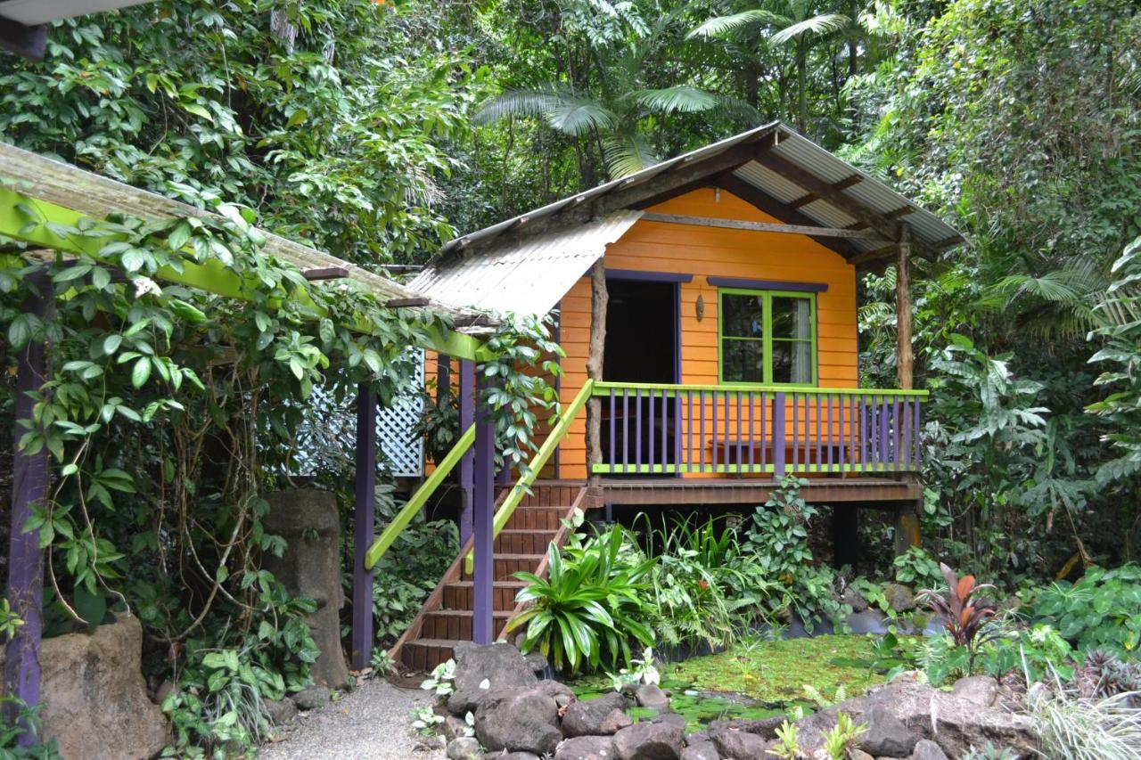 Rainforest Hideaway Cape Tribulation Eksteriør billede