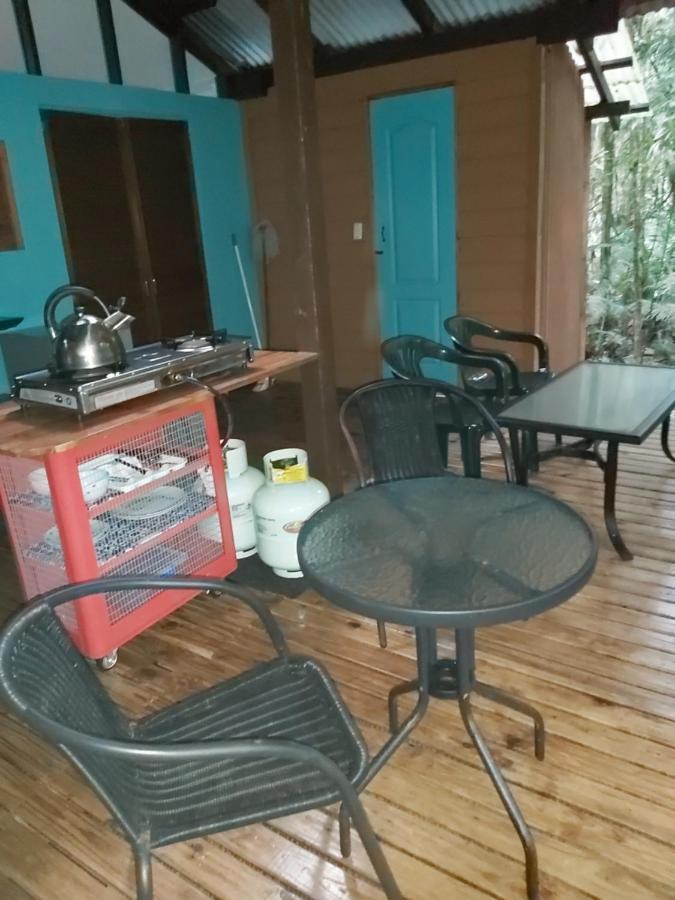 Rainforest Hideaway Cape Tribulation Eksteriør billede