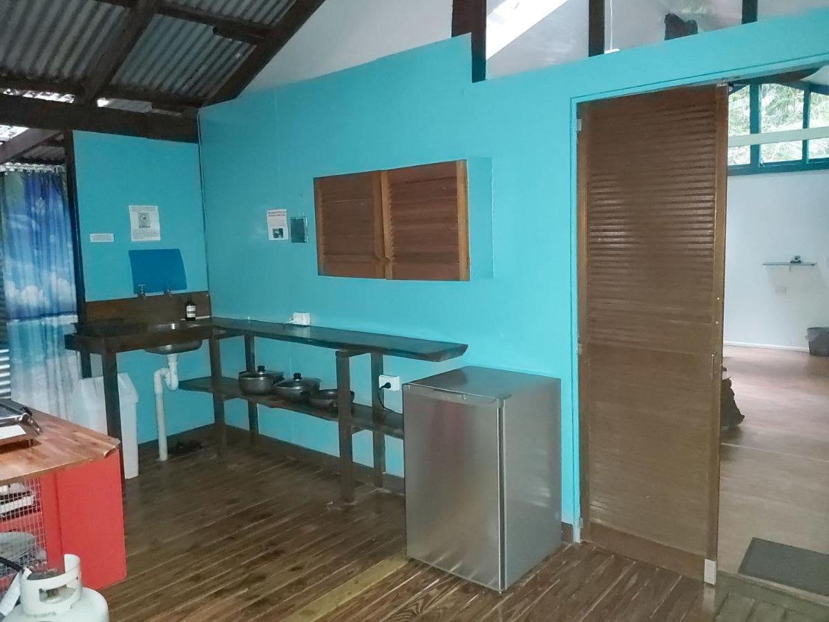 Rainforest Hideaway Cape Tribulation Eksteriør billede