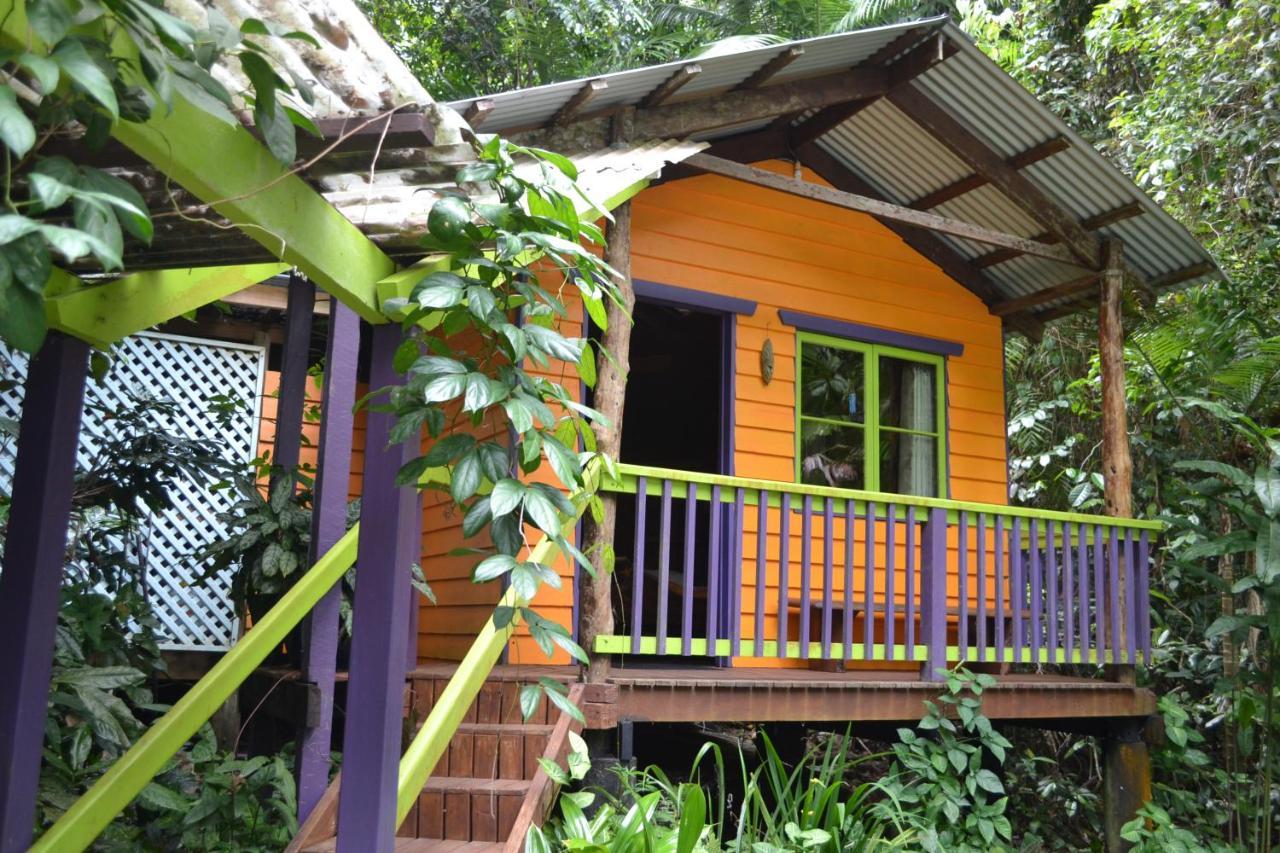 Rainforest Hideaway Cape Tribulation Eksteriør billede