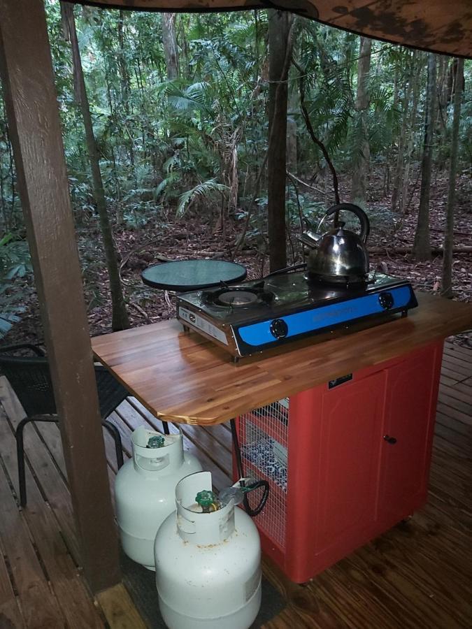 Rainforest Hideaway Cape Tribulation Eksteriør billede