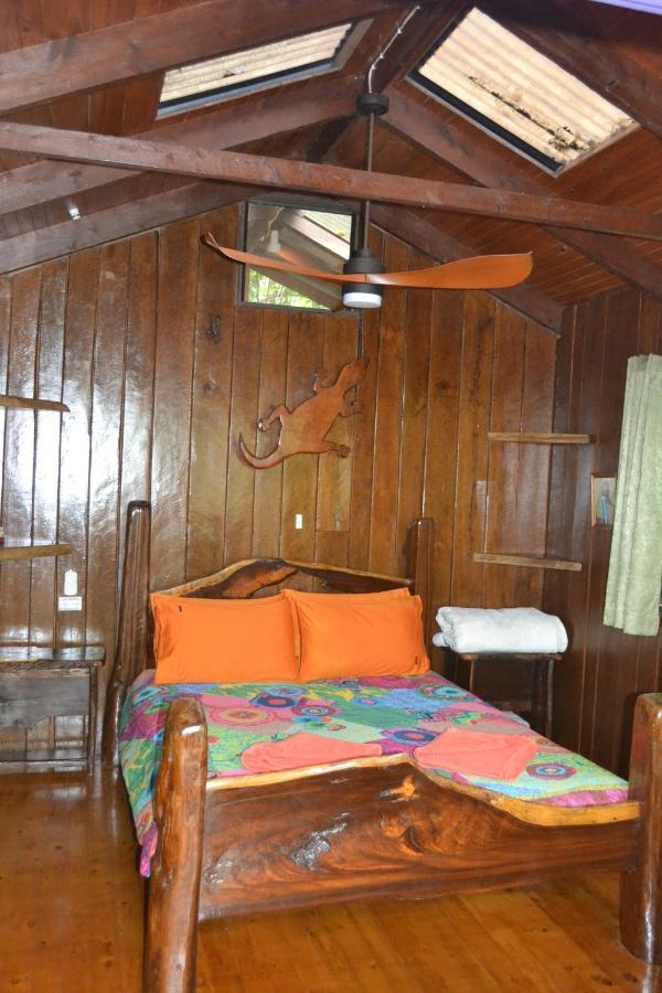 Rainforest Hideaway Cape Tribulation Eksteriør billede