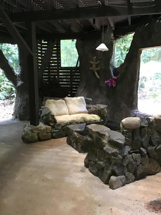 Rainforest Hideaway Cape Tribulation Eksteriør billede