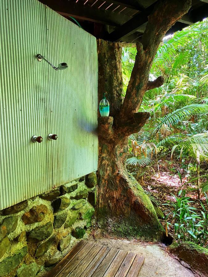 Rainforest Hideaway Cape Tribulation Eksteriør billede