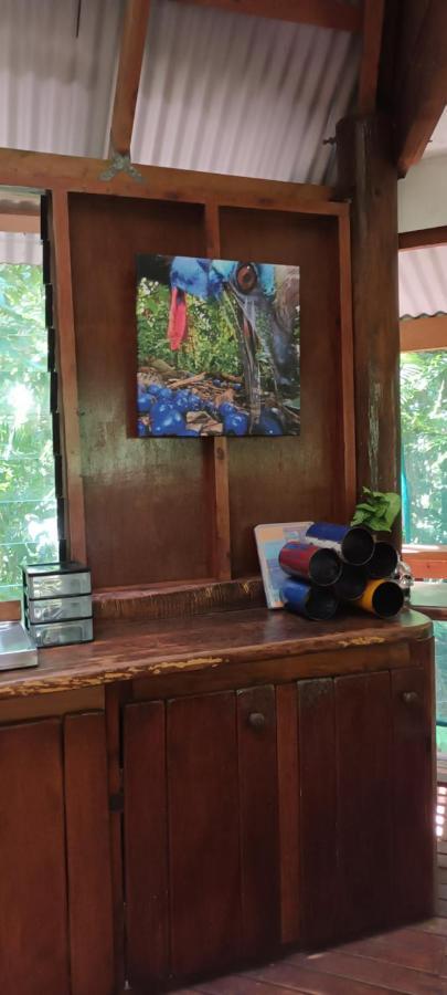 Rainforest Hideaway Cape Tribulation Eksteriør billede