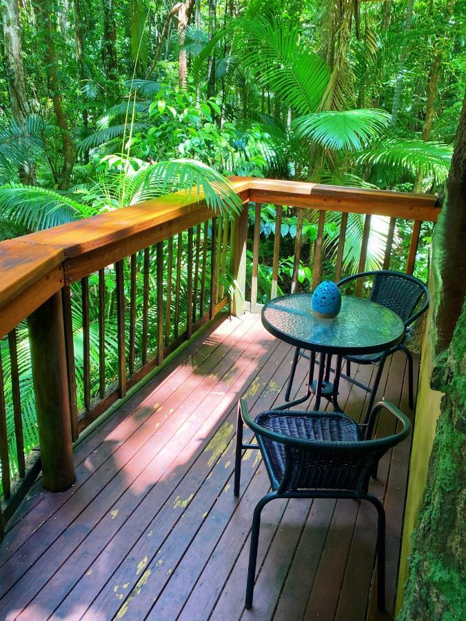 Rainforest Hideaway Cape Tribulation Eksteriør billede