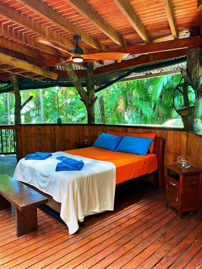 Rainforest Hideaway Cape Tribulation Eksteriør billede