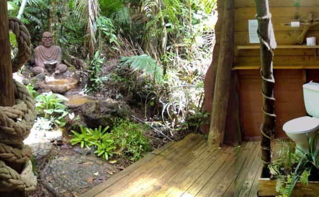 Rainforest Hideaway Cape Tribulation Værelse billede