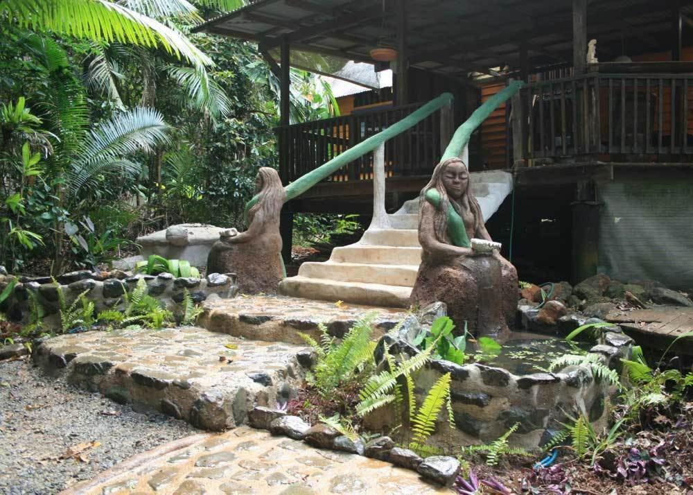 Rainforest Hideaway Cape Tribulation Eksteriør billede
