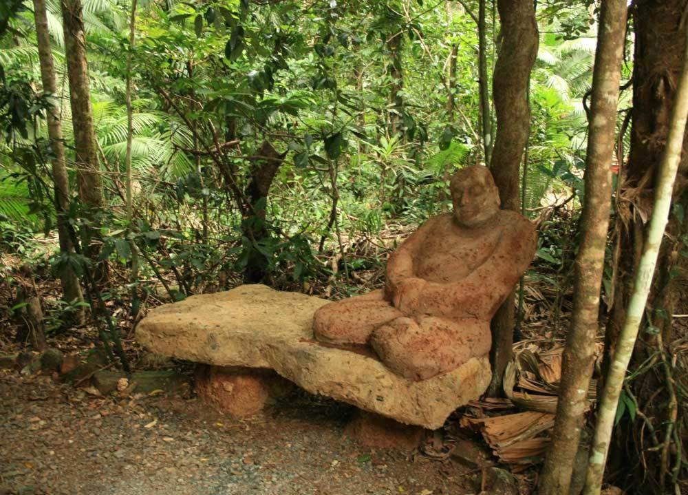 Rainforest Hideaway Cape Tribulation Eksteriør billede