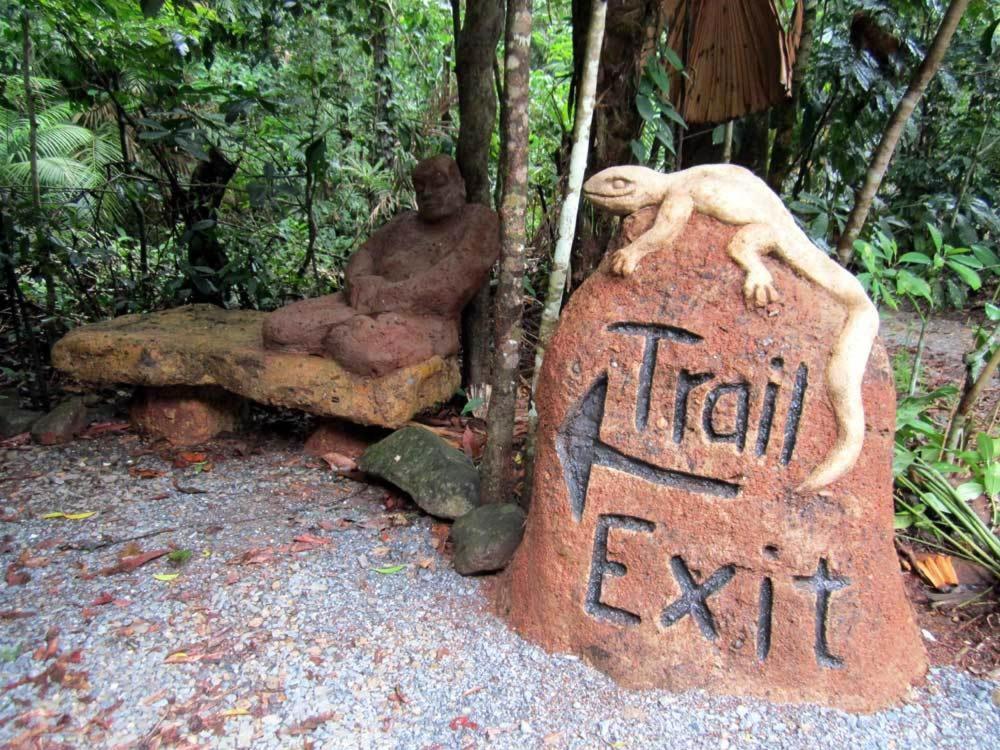 Rainforest Hideaway Cape Tribulation Eksteriør billede