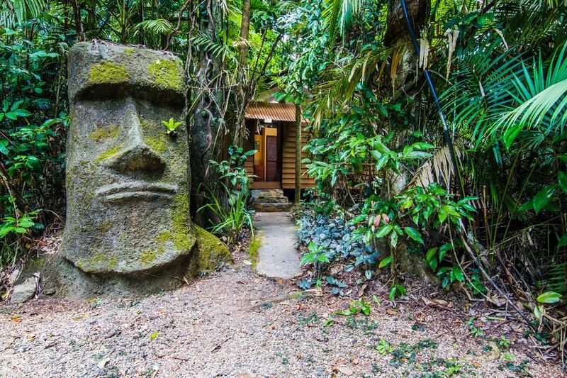 Rainforest Hideaway Cape Tribulation Eksteriør billede