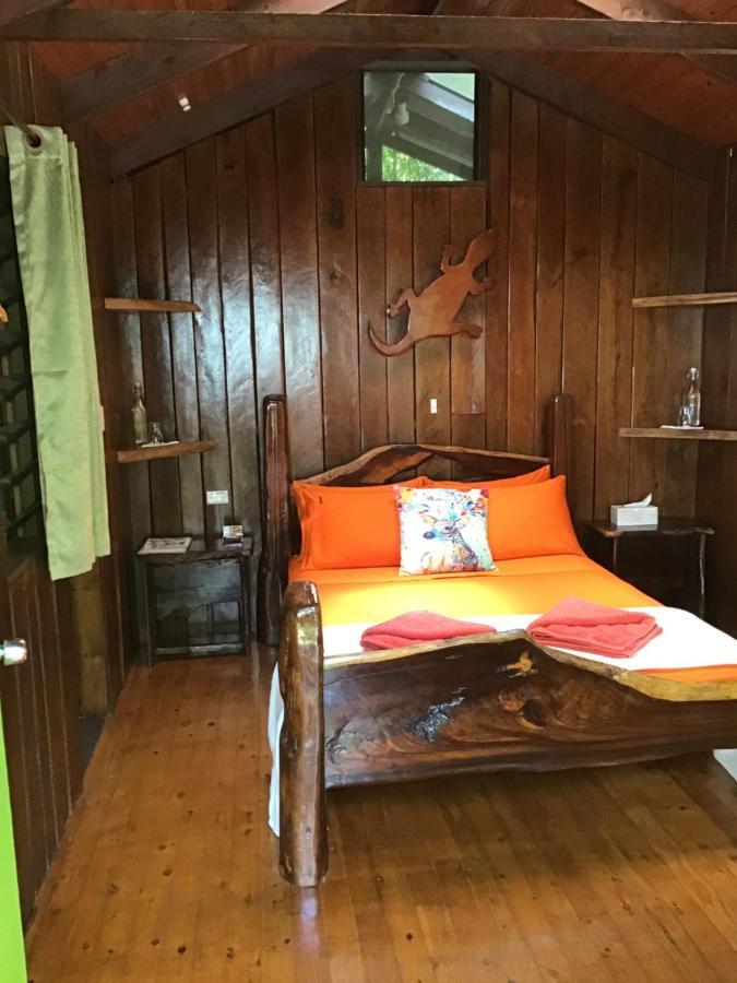 Rainforest Hideaway Cape Tribulation Eksteriør billede